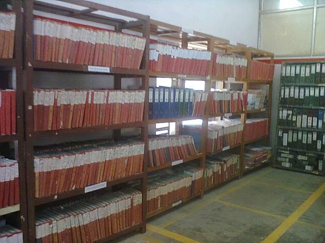C&FA Services